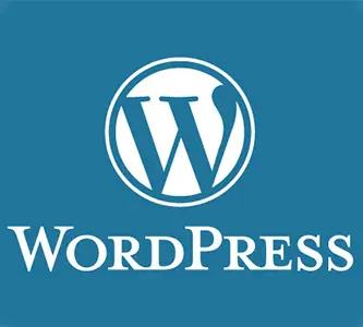 A client's guide: using your WordPress CMS